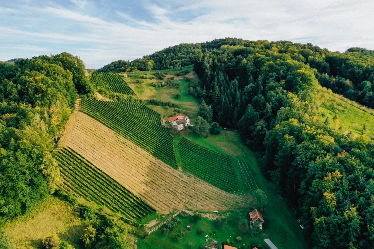 Winzerhof Strablegg Villa Grossklein Luaran gambar